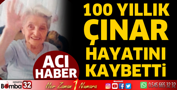 100 yıllık çınar hayatını kaybetti