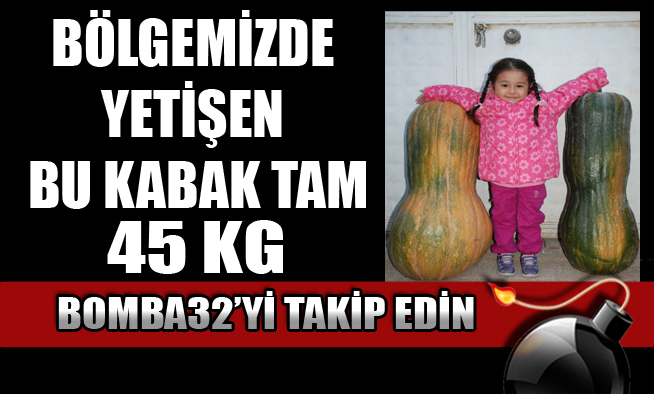 YOK BÖYLE KABAK....
