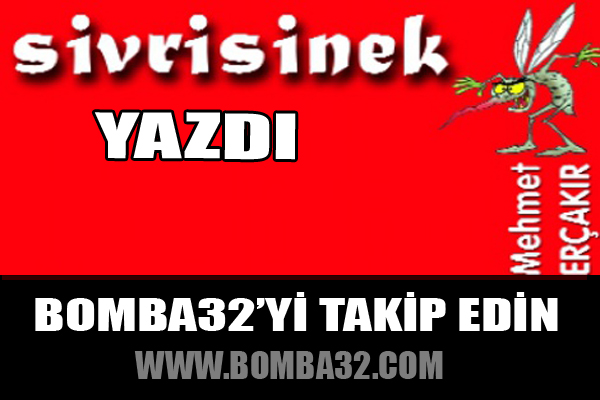 SİVRİSİNEK YAZDI