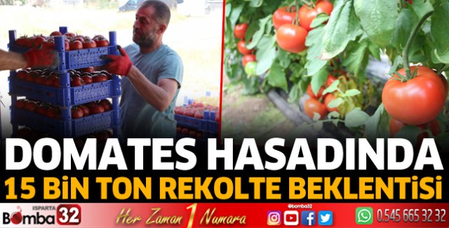 15 Bin ton rekolte bekleniyor