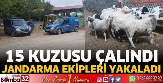 15 kuzusu çalındı jandarma ekipleri yakaladı