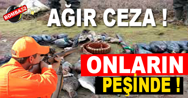 17 bin TL cezası var