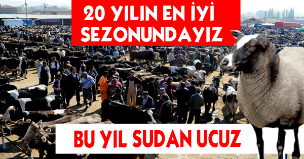 20 YILIN EN İYİ SEZONUNDAYIZ