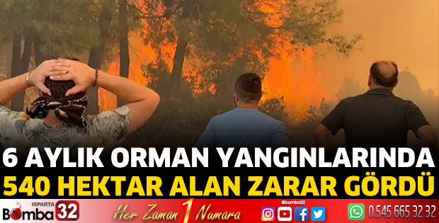 2025 ilk 6 ayında 540 hektarlık alan zarar gördü 