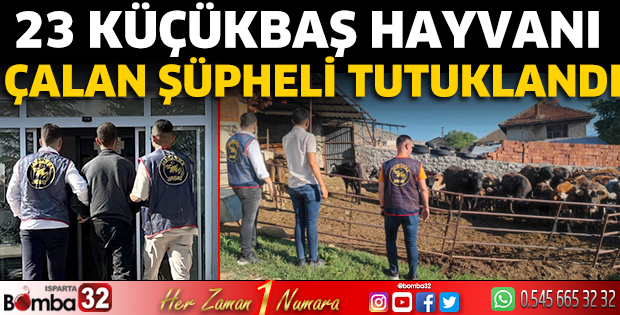 23 küçükbaş hayvanı çalan şüpheli tutuklandı
