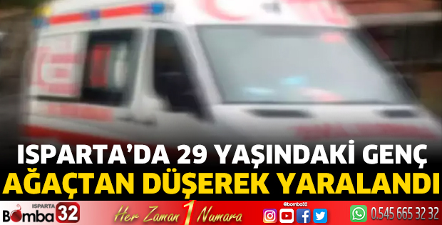 29 yaşındaki genç ağaçtan düşerek yaralandı 