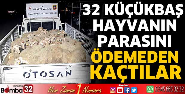 32 küçükbaş hayvanın parasını ödemeden kaçtılar