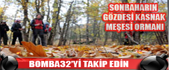 SONBAHARIN GÖZDESİ KASNAK MEŞESİ ORMANI
