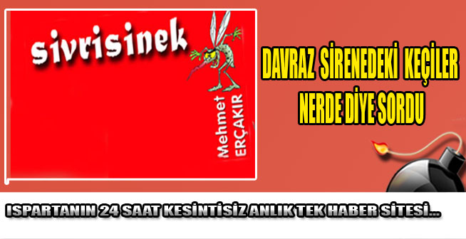 SİVRİSİNEK