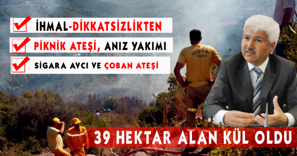 39 Hektar Alan Kül Oldu