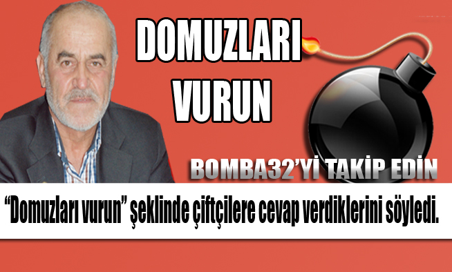 DOMUZLARI VURUN