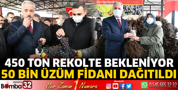 50 Bin Üzüm Fidanı Dağıtıldı