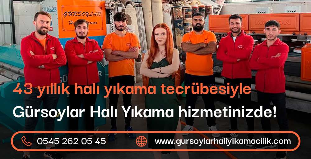 gürsoylar