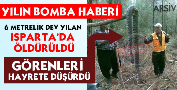 6 METRELİK DEV YILAN
