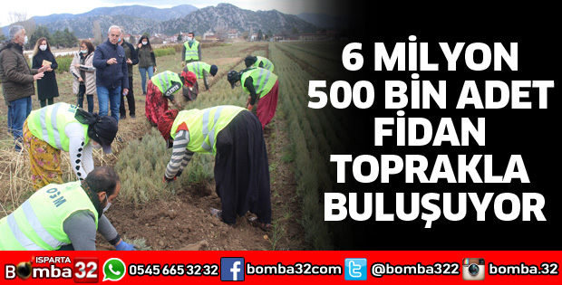 6 MİLYON 500 BİN ADET FİDAN TOPRAKLA BULUŞUYOR
