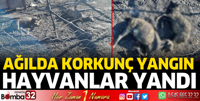 Yangında hayvanlar telef oldu 