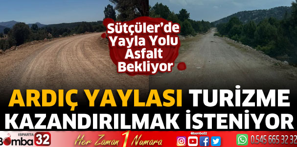 Ardıç Yaylası Turizme Kazandırılmak İsteniyor
