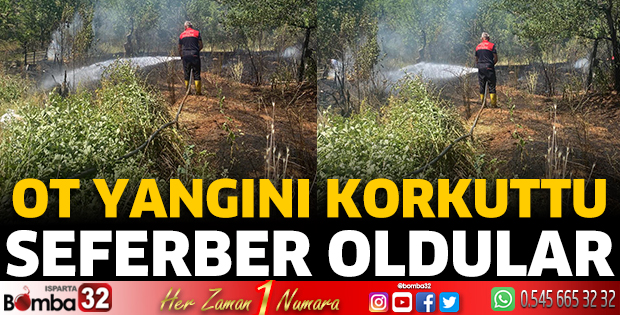 Ot yangını korkuttu