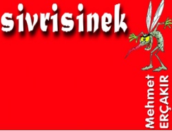 SİVRİSİNEK BU KEZ DEŞİFRE ETTİ
