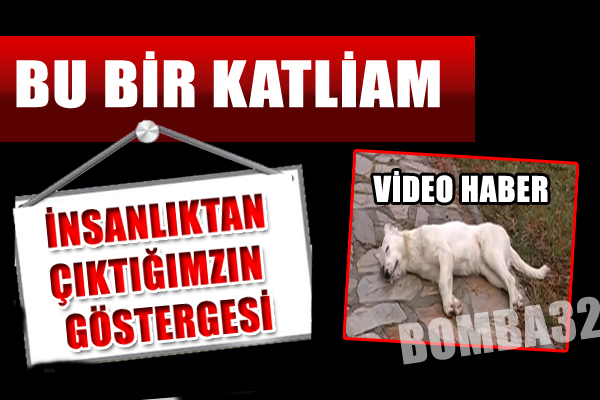 BU BİR KATLİAM