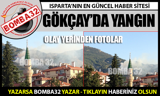 3 HEKTAR ALAN KÜL OLDU