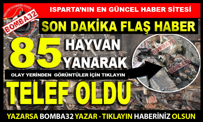 BESİHANEDE YANGIN ÇIKTI !