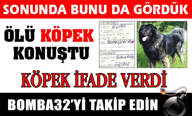 ÖLÜ KÖPEK KONUŞTU!