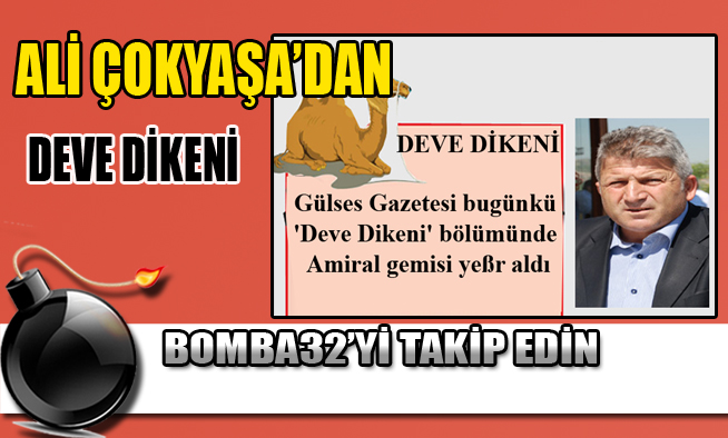 DEVE DİKENİ