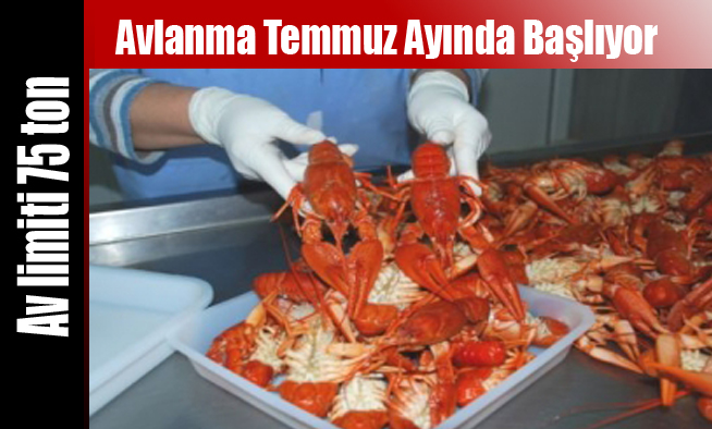 Avlanma Temmuz Ayında Başlıyor