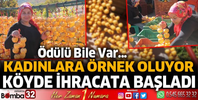 ​Cennet hurmasını kurutup satıyor