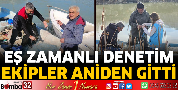 ​Eş zamanlı denetim