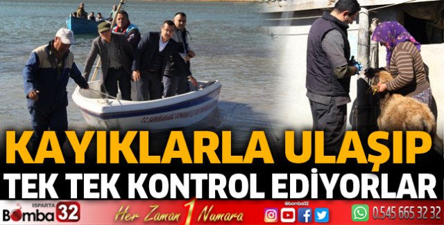 ​Kayıklarda Mada Adası'na ulaşıp, hayvanları aşıladılar