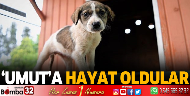 ‘Umut’a hayat oldular