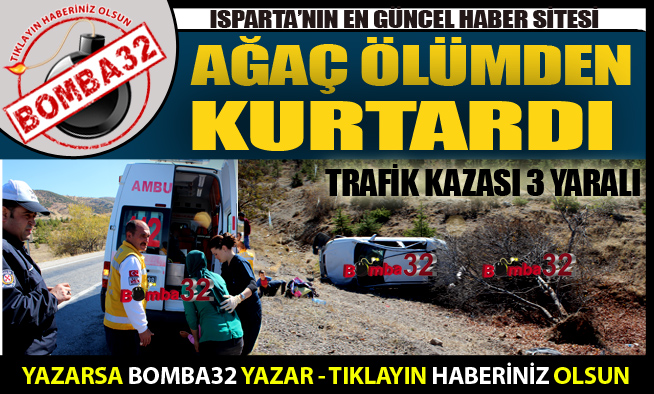 AĞAÇ ÖLÜMDEN KURTARDI