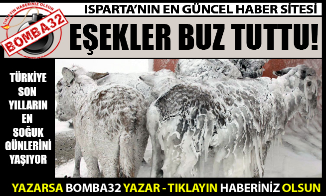 ŞAŞKINA DÖNDÜLER