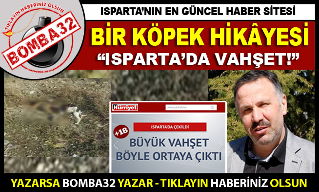 Bir Köpek Hikâyesi