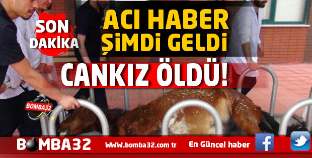 ACI HABER  CANKIZ HAYATINI KAYBETTİ 