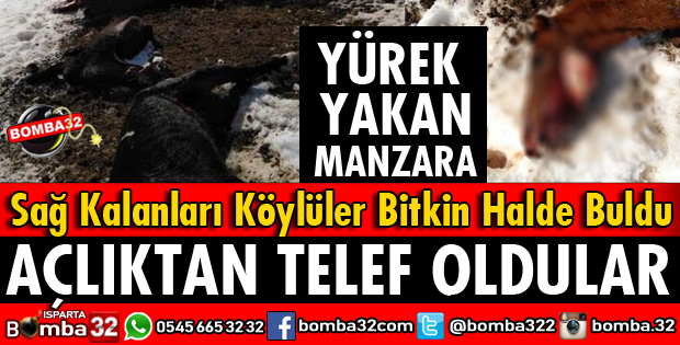 AÇLIKTAN ÖLDÜLER