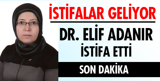 ADAY ADAYI OLUYOR!