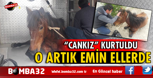 ADINI CANKIZ KOYDULAR, HASTANE KABUL ETTİ İŞTE DETAYLAR 