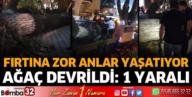 Ağaç devrildi: 1 yaralı