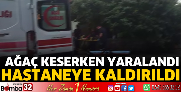 Ağaç keserken yaralandı hastaneye kaldırıldı