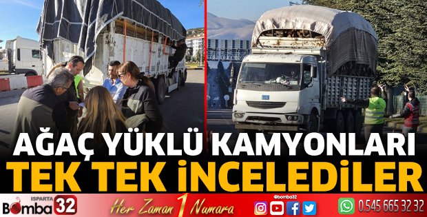 Ağaç yüklü kamyonları tek tek incelediler