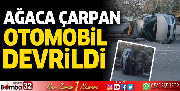 Ağaca çarpan otomobil devrildi