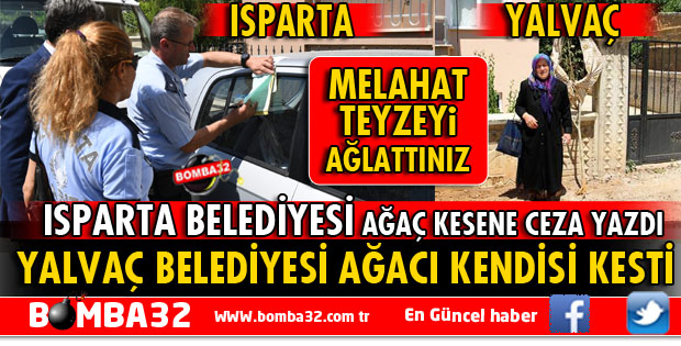 AĞACINI KESTİLER MELAHAT TEYZEYİ AĞLATTILAR
