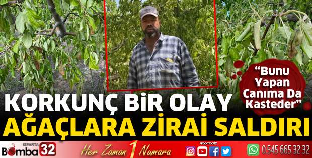 Ağaçlara zirai saldırı