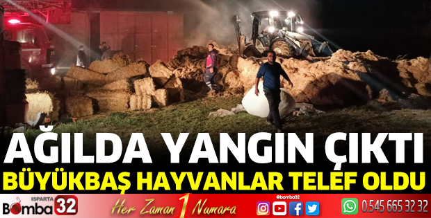 Ağılda yangın çıktı: 3 büyükbaş telef oldu