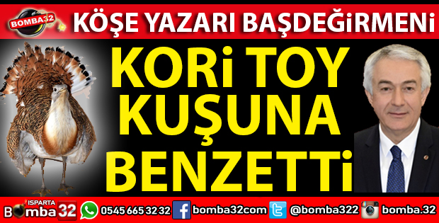 AĞIR KUŞ YAVAŞ UÇAR: BAŞDEĞİRMEN... 