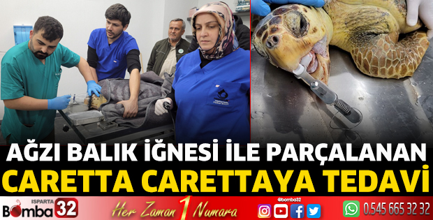 Ağzı balık iğnesi ile parçalanan caretta carettaya tedavi