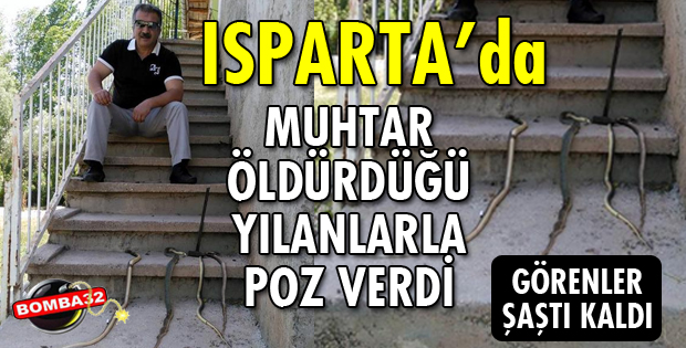AHIRINA GİRMEYE ÇALIŞAN 4 YILANI ÖLDÜRDÜ